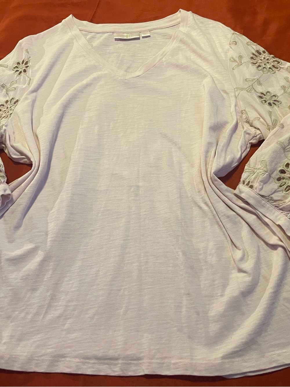 Women's Embroidered Sleeve V-Neck Top - pale pink and beige.